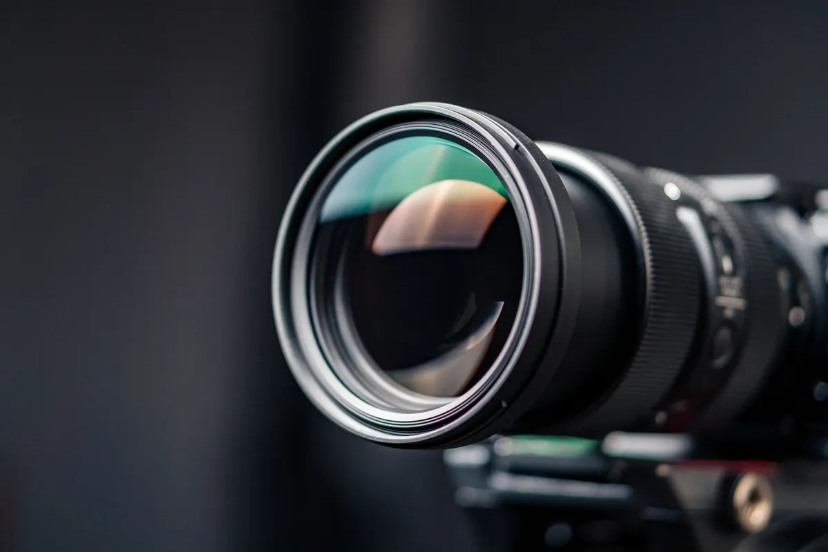 How to Choose Your First Telephoto Lens for Bird Photography